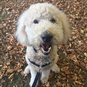 Meet your Posher, Erica